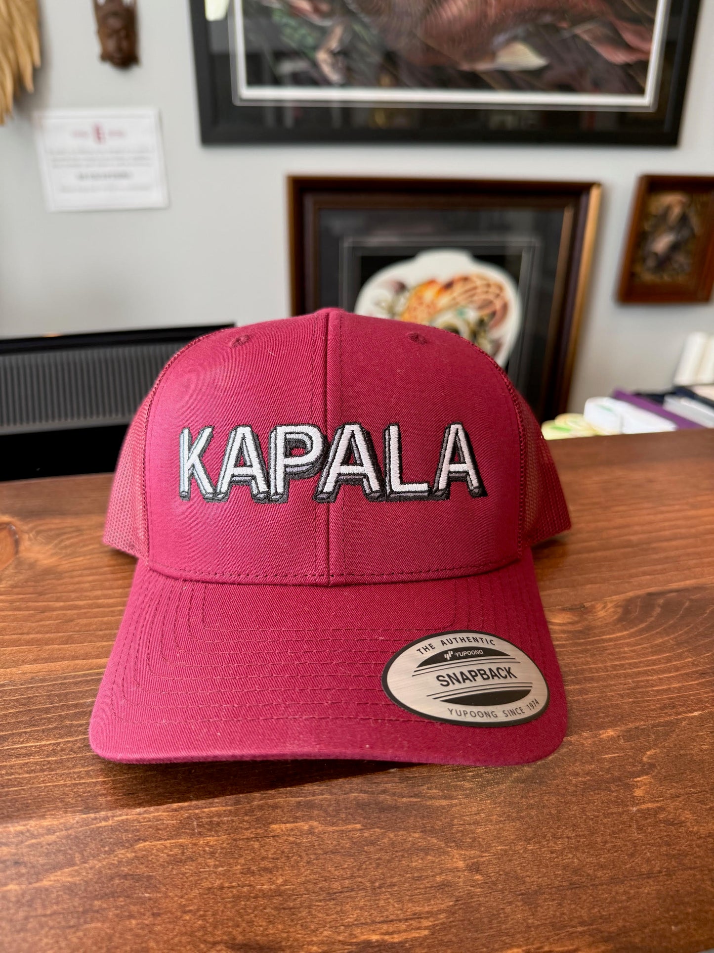 Embroidered Snap backs